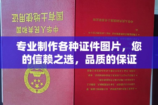 五原专业制作各种证件图片，您的信赖之选，品质的保证
