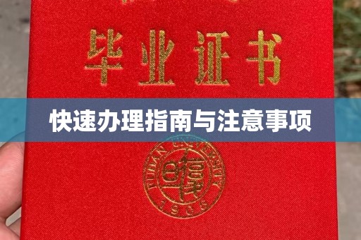 五原快速办理指南与注意事项